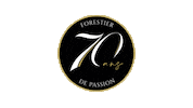 Horse Jumping Sticker by Forestier Sellier