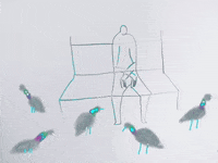 Pigeons Park Bench GIF by Barbara Pozzi