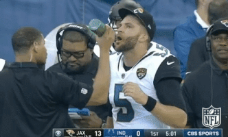 Jacksonville Jaguars Football GIF by NFL