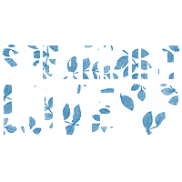Baby Log Sticker by Spearmint Love
