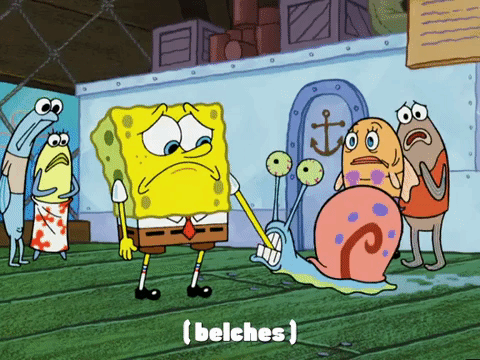 new leaf episode 13 GIF by SpongeBob SquarePants