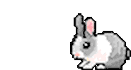 rabbit STICKER