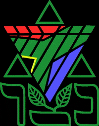 netzer_southafrica netzer progressivejudaism netzersouthafrica GIF