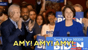 Joe Biden GIF by Election 2020