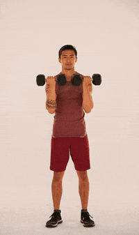 Openfit arnold press GIF