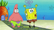 Spongebob Squarepants What GIF by Nickelodeon