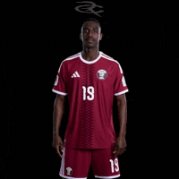 Fifa World Cup Qatar GIF by Respective