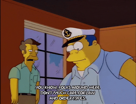 the simpsons episode 24 GIF