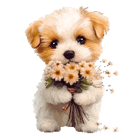 Dog Love Sticker