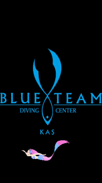 Blueteamdiving blueteamdiving blueteamdivingcenter GIF