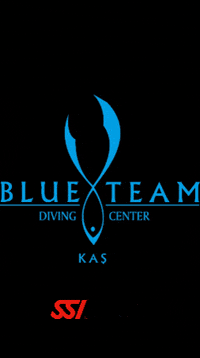 Blueteamdiving blueteamdivingcenter blueteamdiving GIF