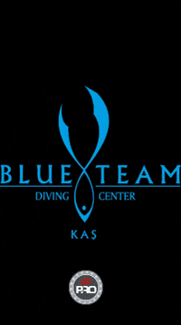 Blueteamdiving blueteamdivingcenter blueteamdiving GIF