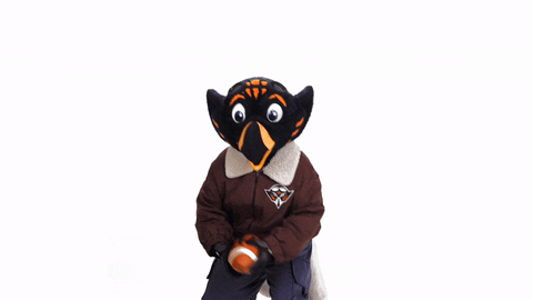 Football Snap GIF by utmartin