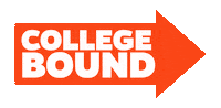 I Got In College Sticker by University of Florida