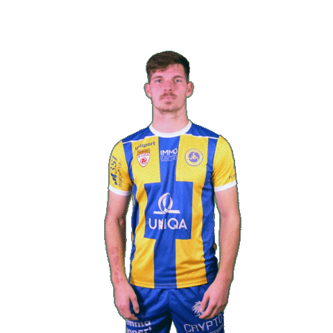 Football Sport Sticker by FirstViennaFC