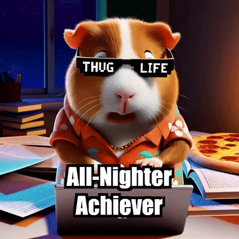Student Life Deadline GIF by Guinea Gambino