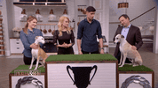 GIF by Pickler & Ben