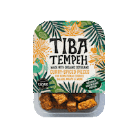 Food Vegan Sticker by Tiba Tempeh