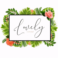 Lovelyconcept love lovely concept conceptstore GIF