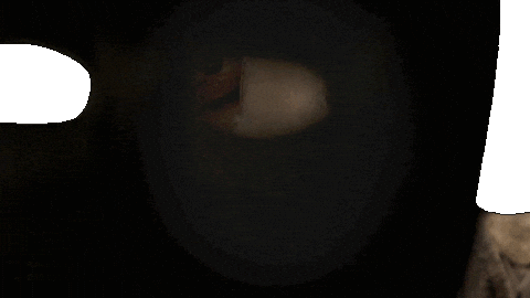 Horror Scarecrow GIF by Lionsgate