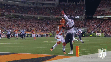 houston texans football GIF by NFL