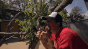 zoo thumbs up GIF by Jason Mraz