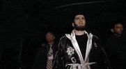 toprank fight boxing fighting espn GIF