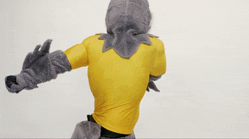 Gomocs Utc GIF by The University of Tennessee at Chattanooga