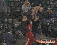 baseball win GIF by SB Nation