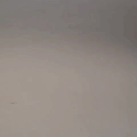 loop magic GIF by cintascotch