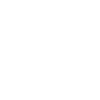 brasilera Sticker by DVICIO