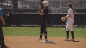 Nsu Nsusoftball Northeasternstate Tahlequah Nsuathletics Riverhawks Riverhawkssports GIF by RiverHawk Sports