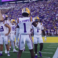 College Football GIF by LSU Tigers