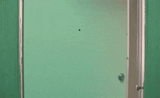 Daddys Home GIF by St. Vincent