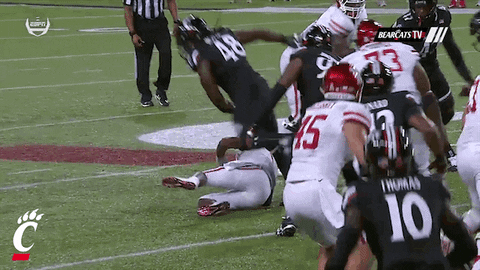 cincinnati bearcats celebration GIF by University of Cincinnati Athletics