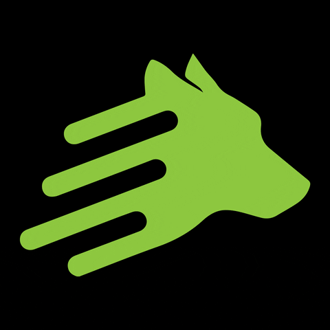 leaddogdigital giphyupload GIF