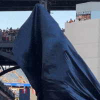 New England Patriots Nfl GIF by Respective