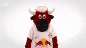 Red Bull Thumbs Up GIF by FC Red Bull Salzburg