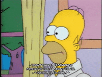 Season 1 GIF by The Simpsons