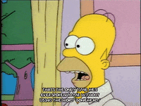 Season 1 GIF by The Simpsons