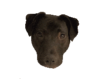 Sticker by Simple & Sentimental