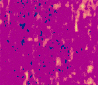 video art painting GIF by jake-andrew-art