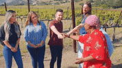 Gordon Ramsay Win GIF by Reality Club FOX