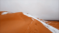 Rare Snow Blankets Algeria's Sahara Desert