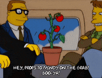 happy episode 5 GIF