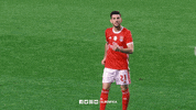 Sl Benfica Yes GIF by Sport Lisboa e Benfica