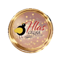 Hudba Ptak Sticker by HlasCeska