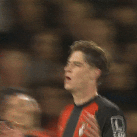 Premier League Hug GIF by AFC Bournemouth