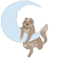 Moon Lune Sticker