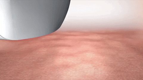 Fannab giphygifmaker GIF